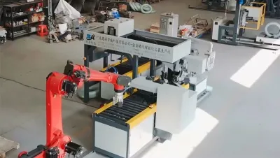 Línea automática de embalaje horizontal de bobinas de alambre, WS-35
