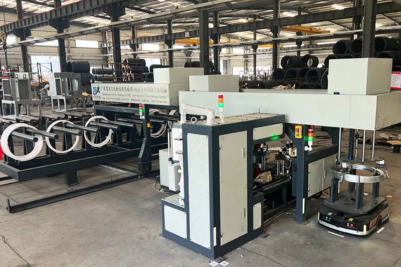 Embalaje automático de bobinas agrupadas SA-WS-10