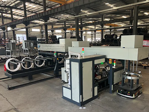 Embalaje automático de bobinas agrupadas SA-WS-10
